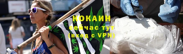индика Лабытнанги