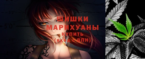 спиды Лагань
