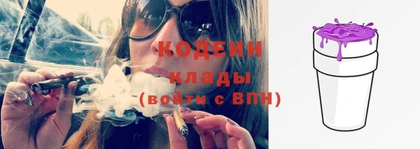 спиды Лагань
