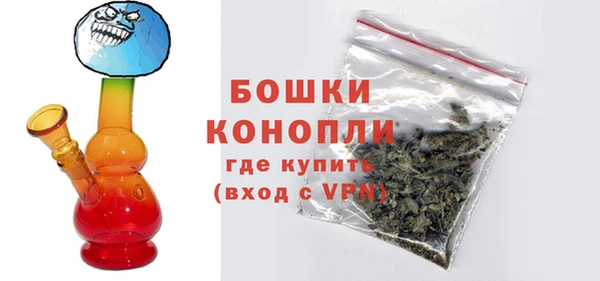 PSILOCYBIN Бородино