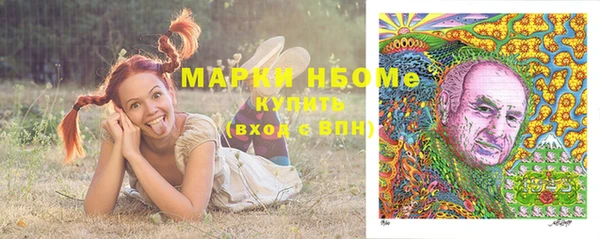 индика Лабытнанги