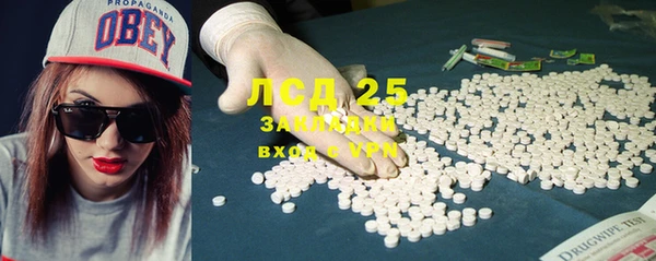 индика Лабытнанги