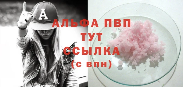 индика Лабытнанги