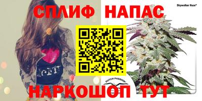 ECSTASY Аргун