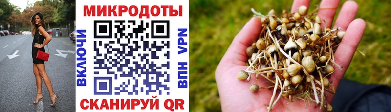 Псилоцибиновые грибы мухоморы сколько стоит Моздок