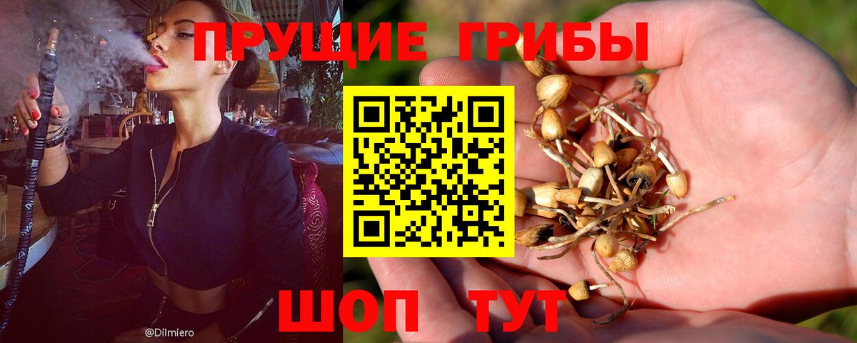 Псилоцибиновые грибы Magic Shrooms Моздок